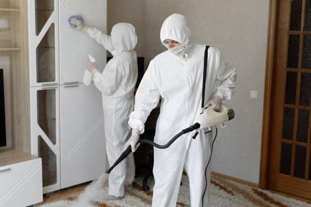 Why You Should Choose Our Mold Remediation Services in Oakwood, IL